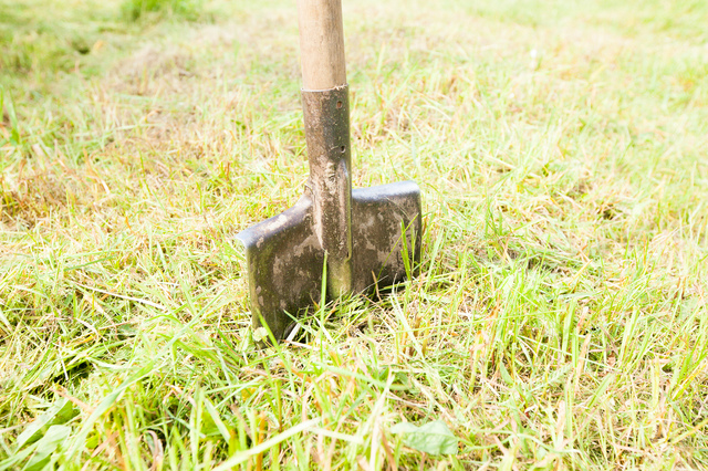 簡単 芝生の剥がし方５ステップと必要な道具 Starline