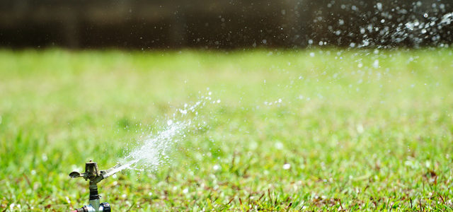 庭の芝生の水はけを改善する３つの方法