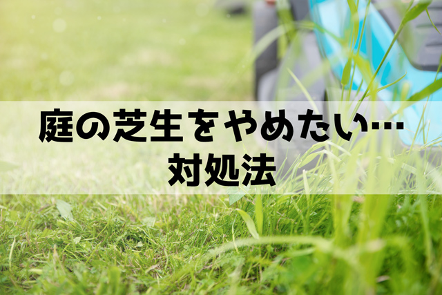 庭の芝生をやめたい…メリット・デメリット・対処法8個